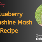 Blueberry Moonshine Mash Recipe