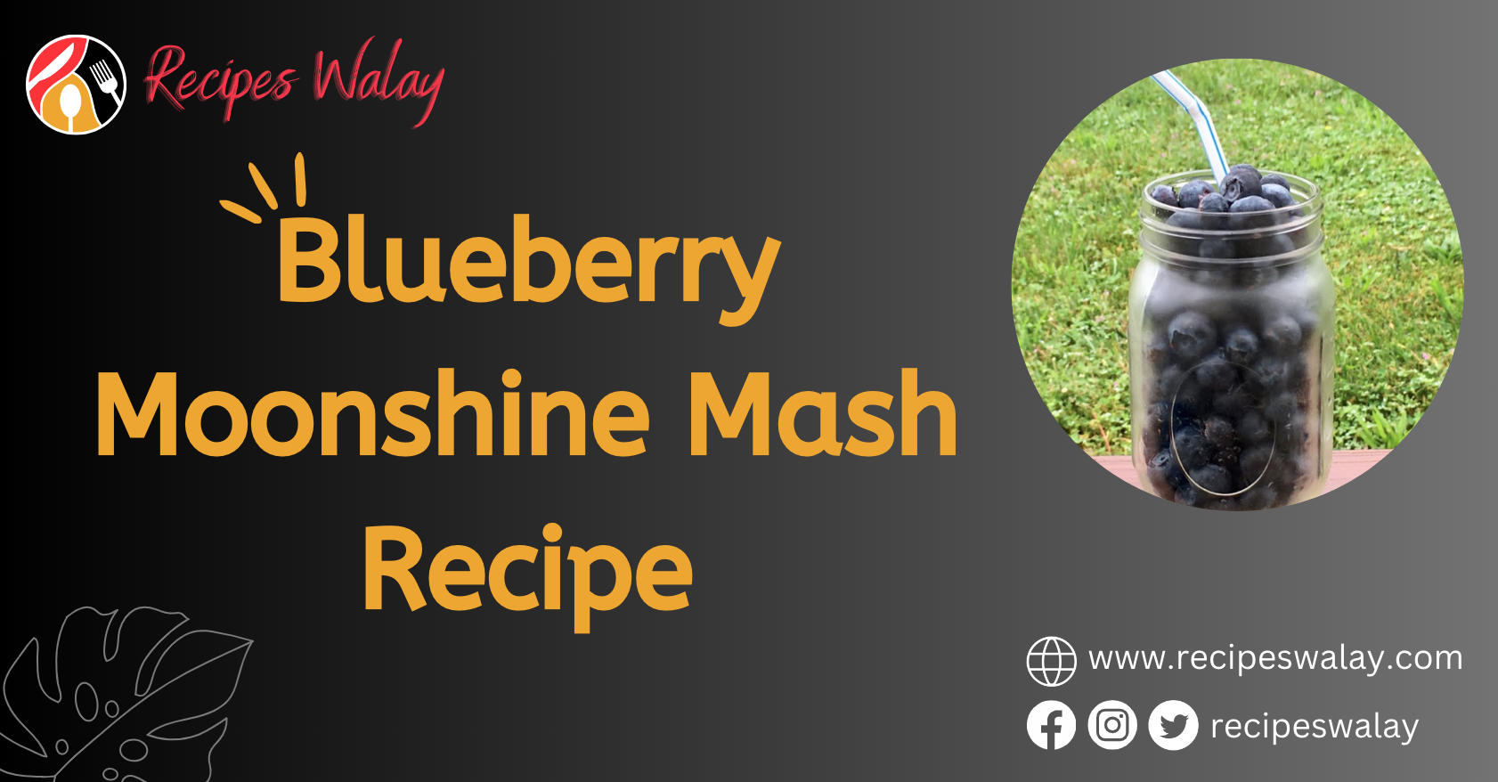 Blueberry Moonshine Mash Recipe