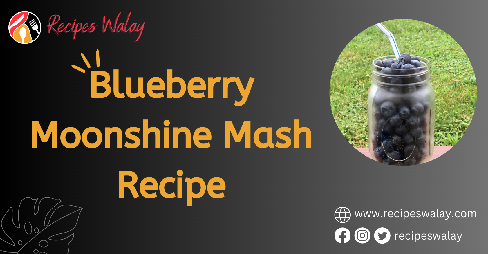 Blueberry Moonshine Mash Recipe -Recipes Walay